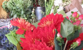 Arthur Street Flowers